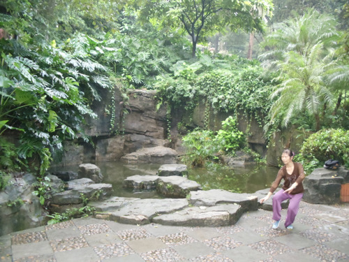 Lady performing Tai Chi.
